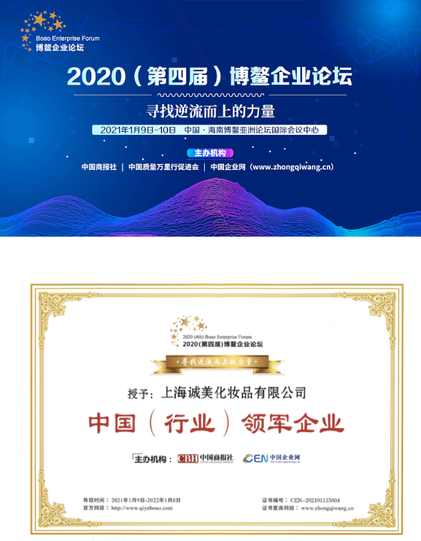 中国（行业）领军企业