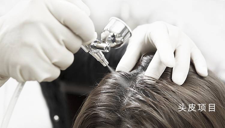 头皮项目